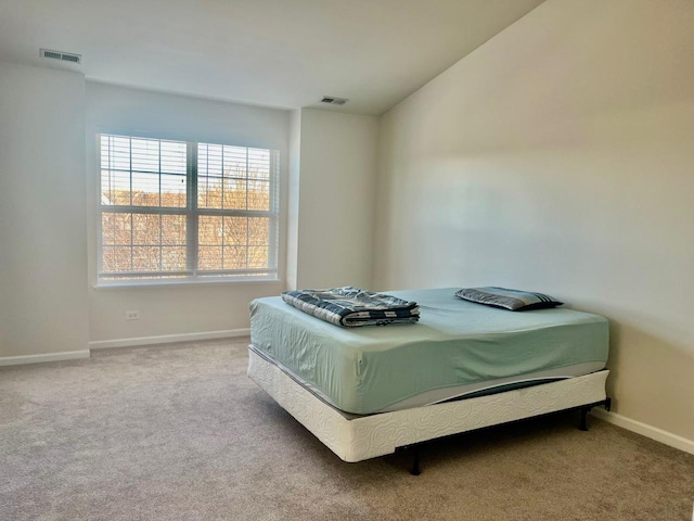 bedroom featuring carpet