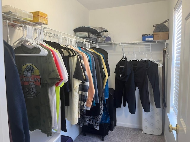 spacious closet featuring carpet floors