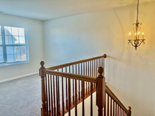 staircase featuring a notable chandelier and carpet flooring