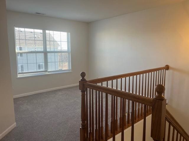 staircase with carpet