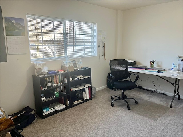 office featuring light carpet