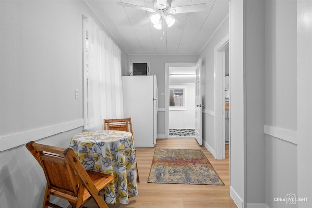 corridor featuring light hardwood / wood-style floors