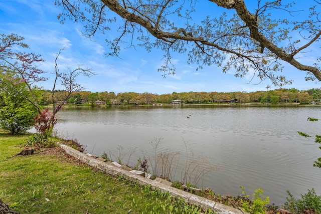 442 Wolfe Dr, Loda, IL 60948 - water view