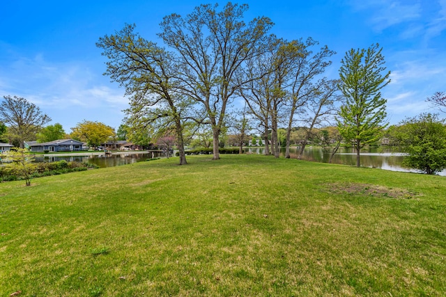 442 Wolfe Dr, Loda, IL 60948 - view of grassy yard featuring a water view