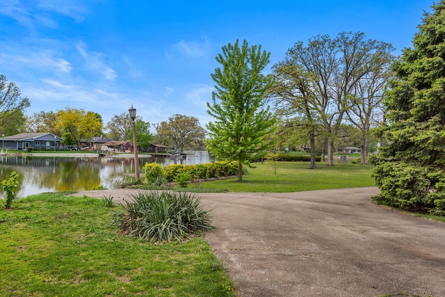 442 Wolfe Dr, Loda, IL 60948 - view of community with a water view and a yard