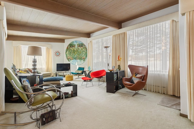 442 Wolfe Dr, Loda, IL 60948 - living area featuring carpet floors, wooden ceiling, and beamed ceiling