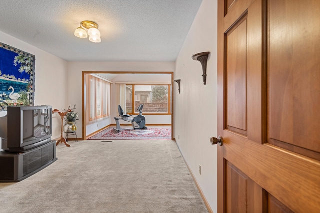 interior space with light carpet and a textured ceiling