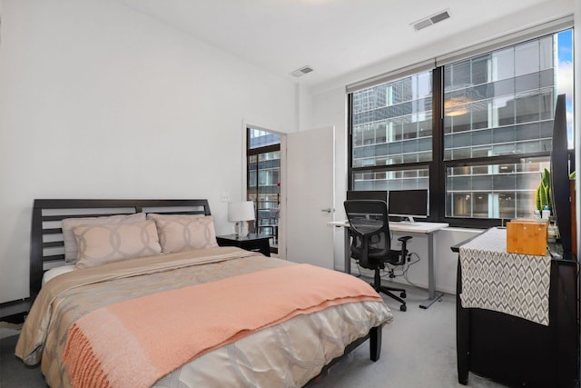 bedroom with carpet flooring