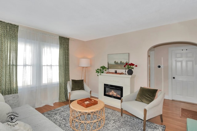 living room with light hardwood / wood-style flooring and plenty of natural light