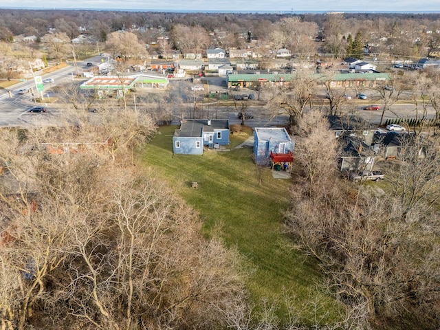 bird's eye view