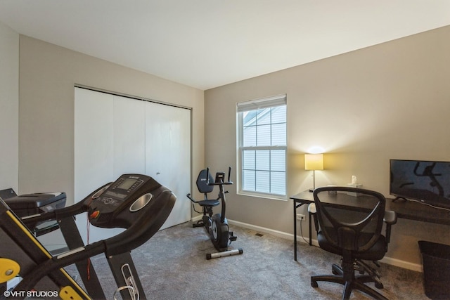 workout area featuring carpet flooring