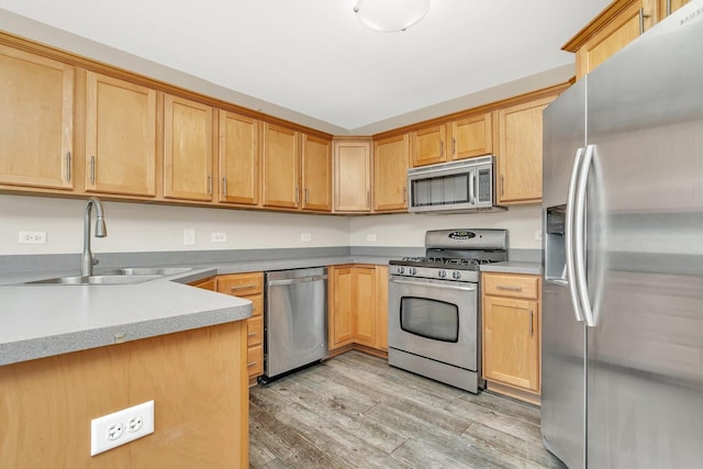 kitchen featuring appliances with stainless steel finishes, sink, and light hardwood / wood-style flooring