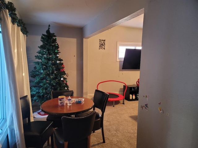 view of carpeted dining room