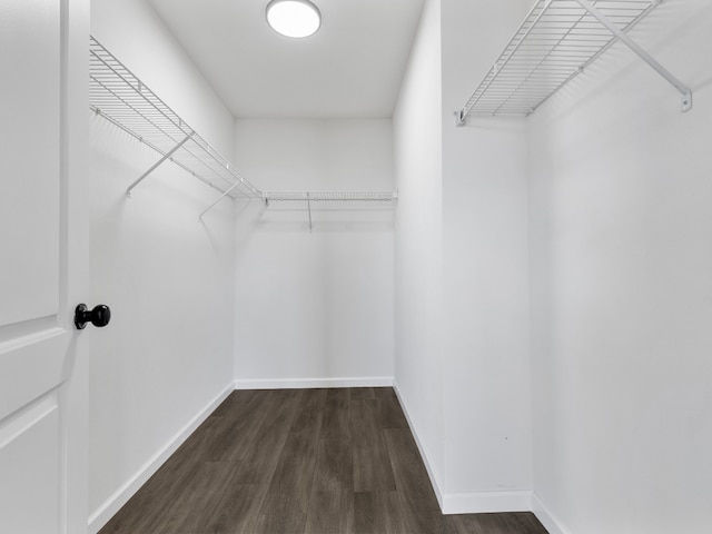 walk in closet featuring dark hardwood / wood-style floors