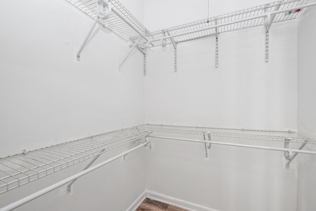 spacious closet with wood-type flooring