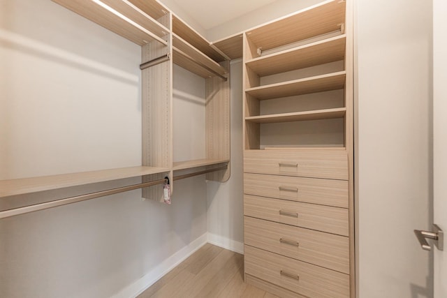 spacious closet with light hardwood / wood-style flooring