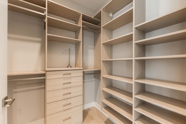 spacious closet with light wood-type flooring