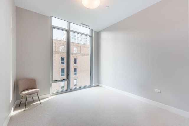 carpeted spare room featuring floor to ceiling windows