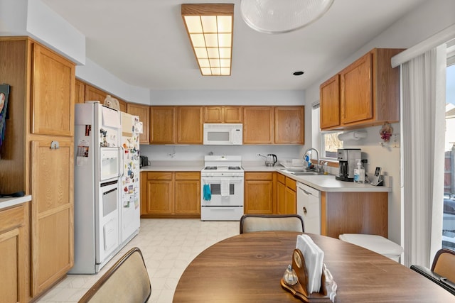 kitchen featuring sink and white appliances