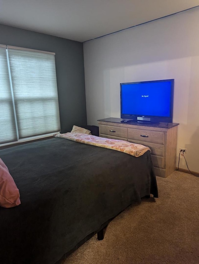 bedroom with carpet flooring