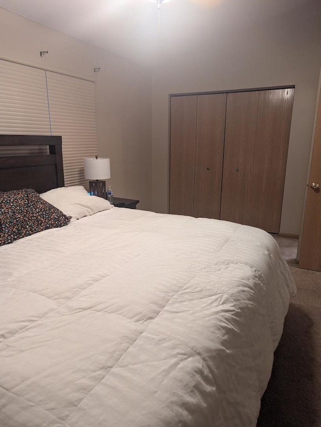 bedroom with a closet and carpet floors