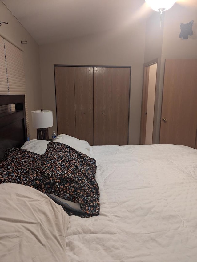 bedroom with a closet and vaulted ceiling