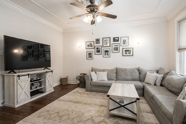 living room with crown molding, ceiling fan, and dark hardwood / wood-style flooring