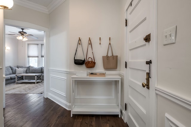 mudroom with ornamental molding, ceiling fan, and dark hardwood / wood-style flooring