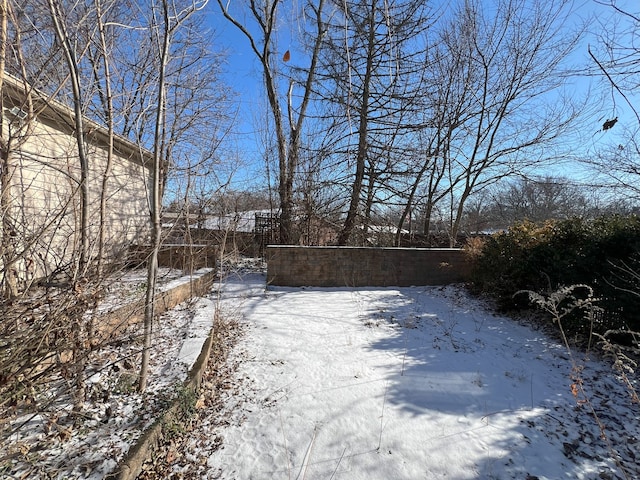 view of yard covered in snow