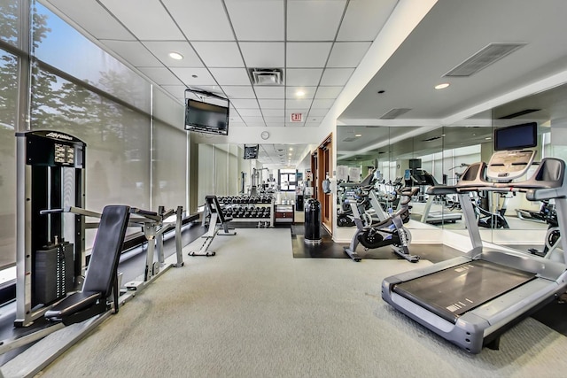 gym with a wealth of natural light, a wall of windows, a drop ceiling, and carpet floors