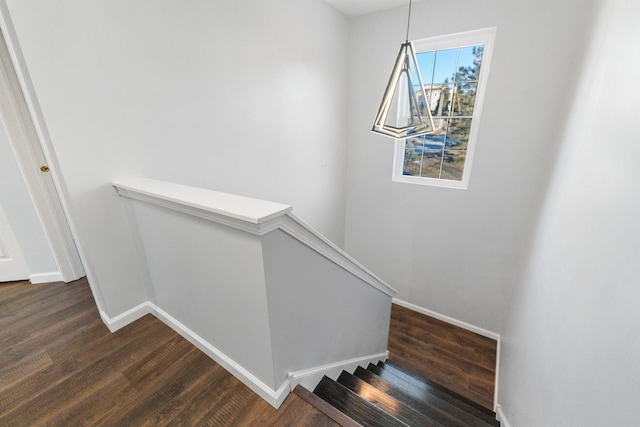 staircase featuring hardwood / wood-style floors