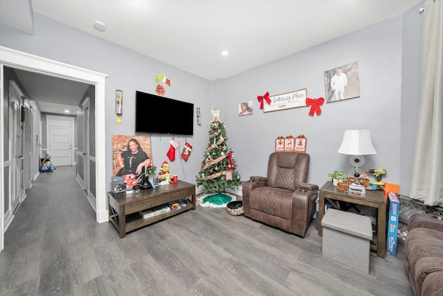 living room with wood-type flooring