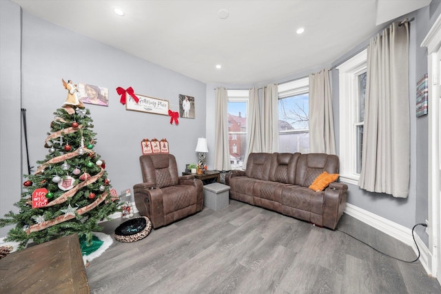 living room featuring light wood-type flooring