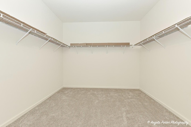 walk in closet with carpet