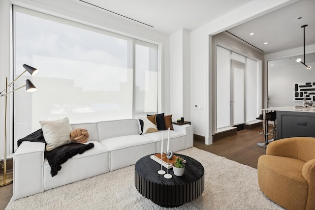 living room featuring dark wood-type flooring