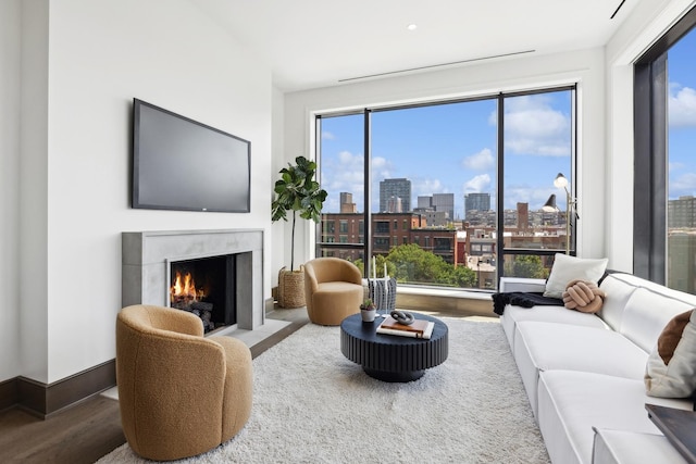 living room with hardwood / wood-style flooring and a high end fireplace