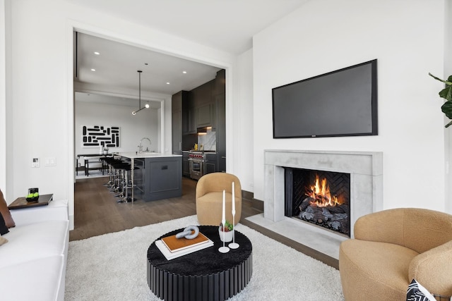 living room with wood-type flooring, sink, and a high end fireplace