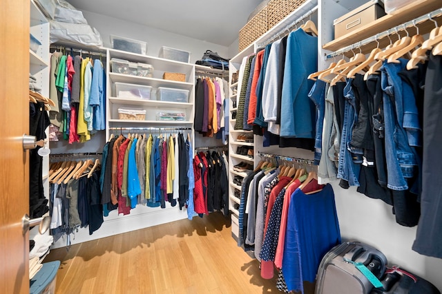 walk in closet with wood-type flooring