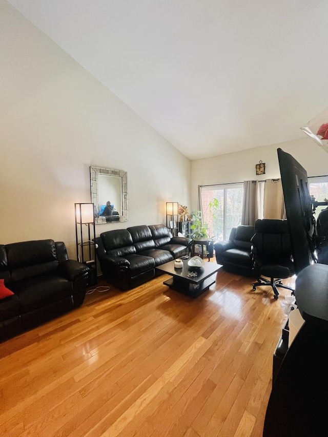 living room featuring hardwood / wood-style flooring