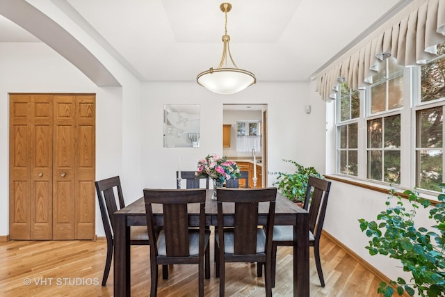 dining room featuring a tray ceiling, baseboards, and light wood finished floors