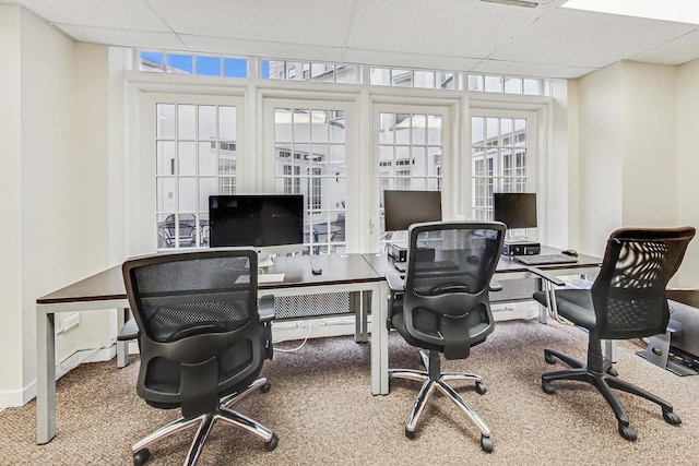 office space with a paneled ceiling, plenty of natural light, and carpet