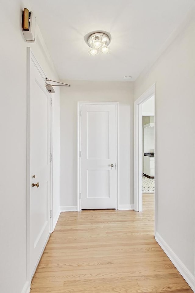 hallway with light hardwood / wood-style flooring