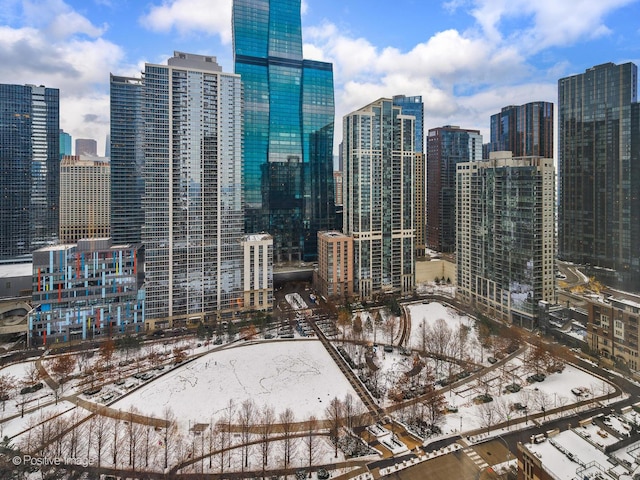 property's view of city