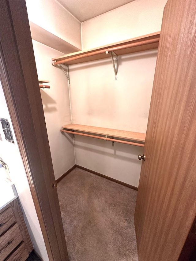 walk in closet with dark colored carpet