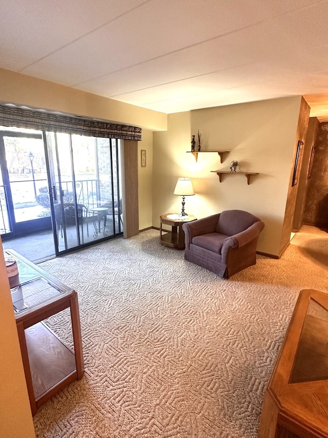 view of carpeted living room