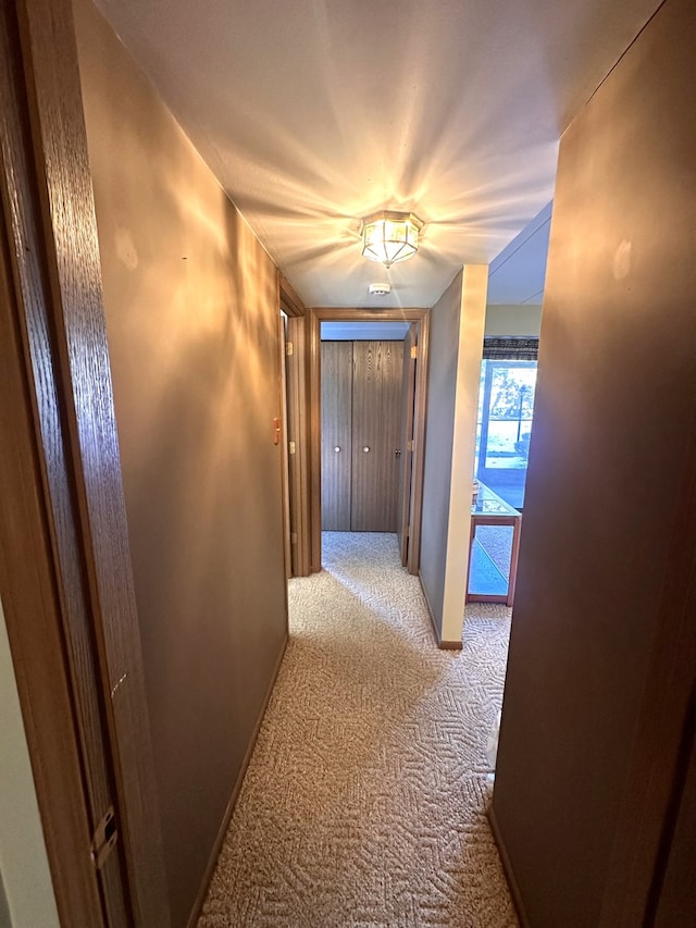 corridor with light colored carpet