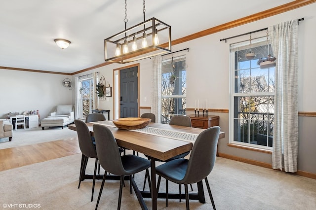 carpeted dining room featuring crown molding