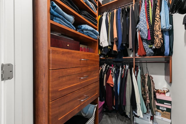 spacious closet with carpet flooring