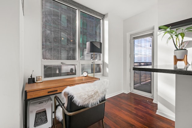 office featuring dark wood-type flooring