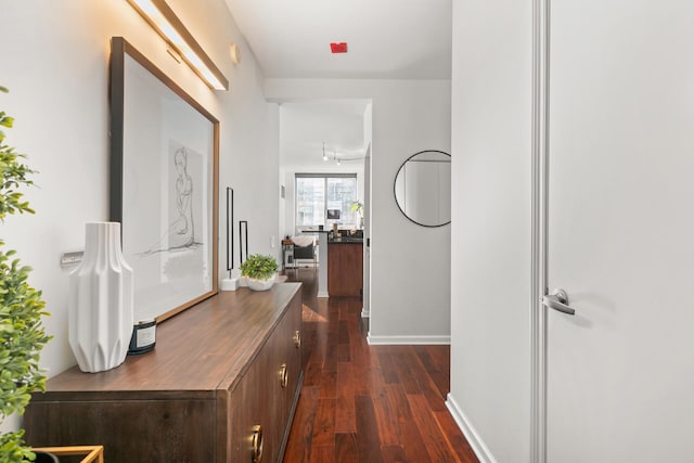 hallway featuring dark hardwood / wood-style floors